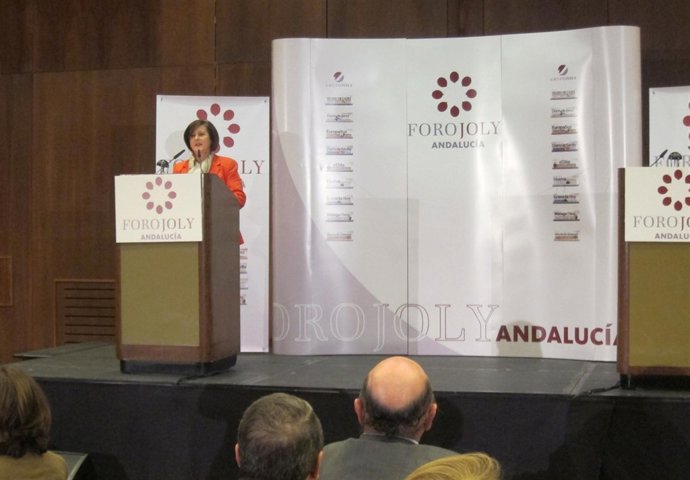 Sánchez Rubio en el Foro Joly