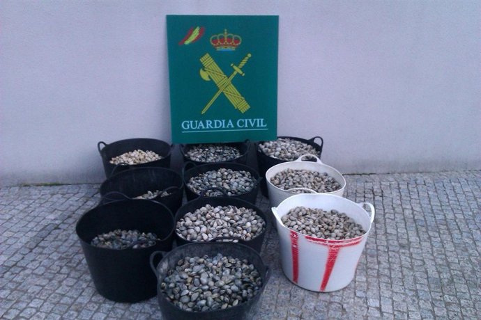 Marisco ilegal interceoptado por la Guardia Civil en Teo (A Coruña)