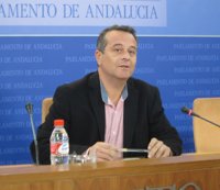 Castro (IULV-CA) cree que las "dudas" sobre la reforma electoral responden a la "defensa" de un sistema bipartidista