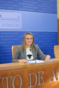 PP-A ve un "divorcio claro" entre PSOE-A e IULV-CA en materia de renta básica y de banca pública