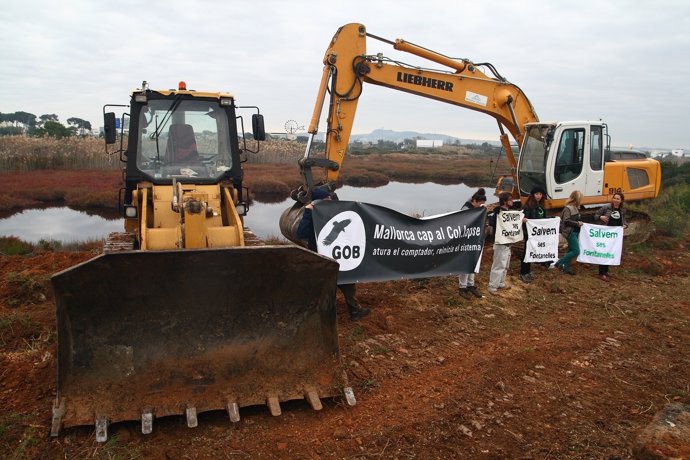 Activistas de el GOB paralizan las obras de ses Fontanelles