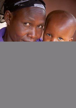 Informe mundial de la malaria 2013