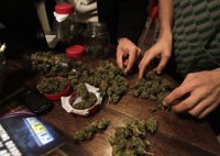 Uruguay.- La Ley de marihuana entraría en vigor este viernes y la venta se retrasa hasta el segundo semestre de 2014