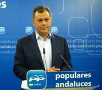 Sanz (PP-A) cree que Susana Díaz sólo convocará elecciones "cuando a ella personalmente le venga bien"