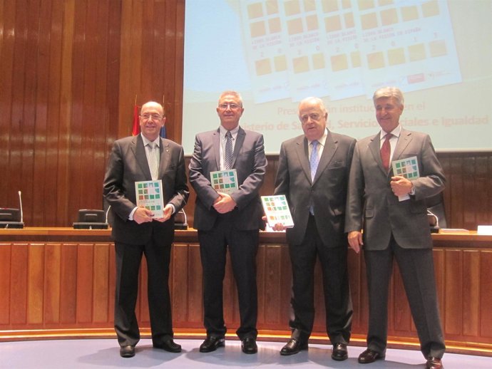 Presentación Libro blanco de la visión 2013