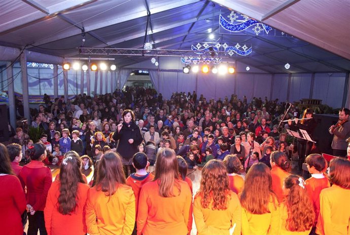 Carpa Navidad Camargo 