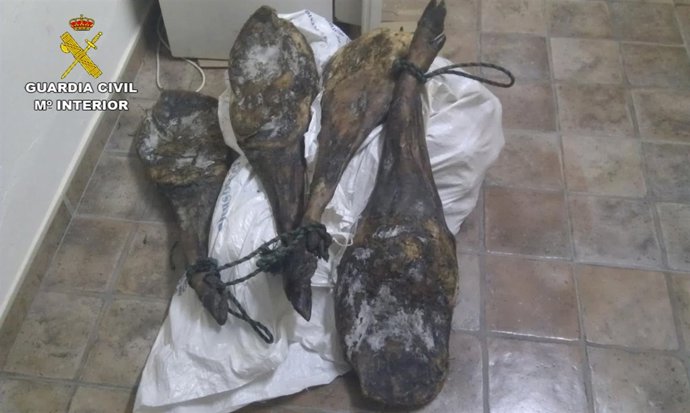 Jamones robados en Villanueva de los Castillejos (Huelva).