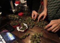 Varias farmacias en Uruguay se niegan a vender marihuana