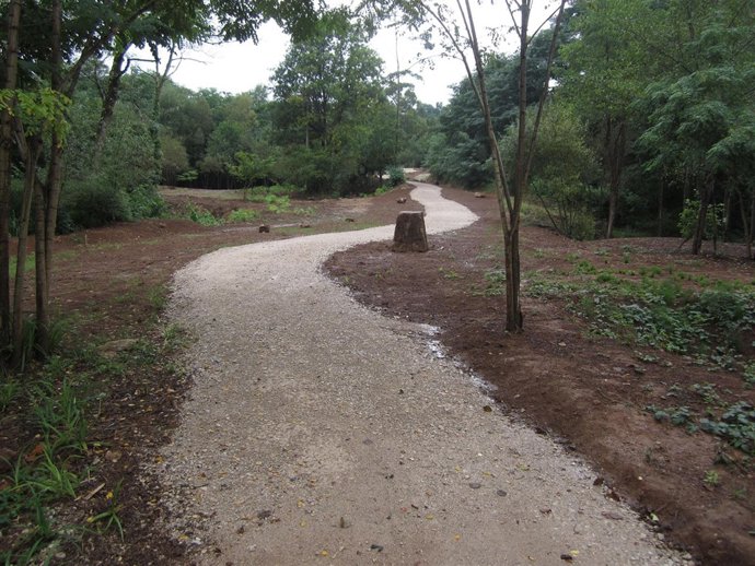 [Convocatoria PROVOCA] Jornada De Voluntariado Ambiental Para La Reforestación D