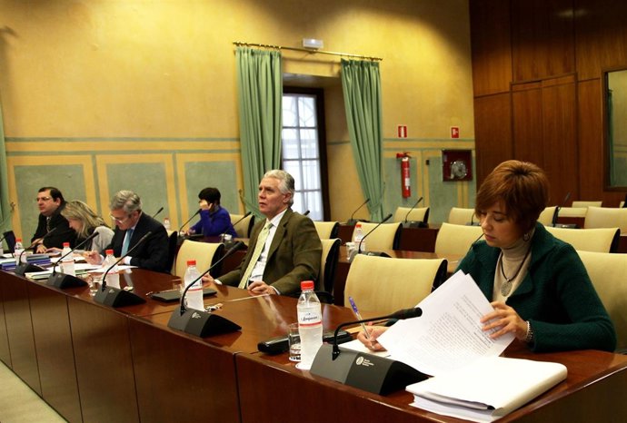 María Dolores Quintana (IULV-CA), a la izquierda, en una comisión parlamentaria