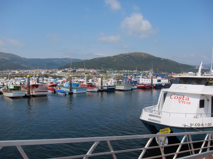 Ría De Muros E Noia, Desde El Paseo De Muros