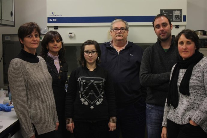 Grupo de investigación de la UAL