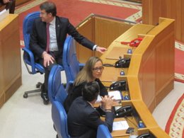 La conselleira de Facenda en el pleno de presupuestos.