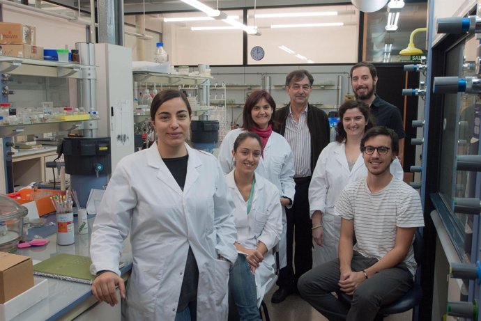 Grupo de investigadores liderado por García-España