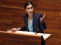 Carcedo defiende el proyecto de presupuestos como la "mejor opción" para Asturias