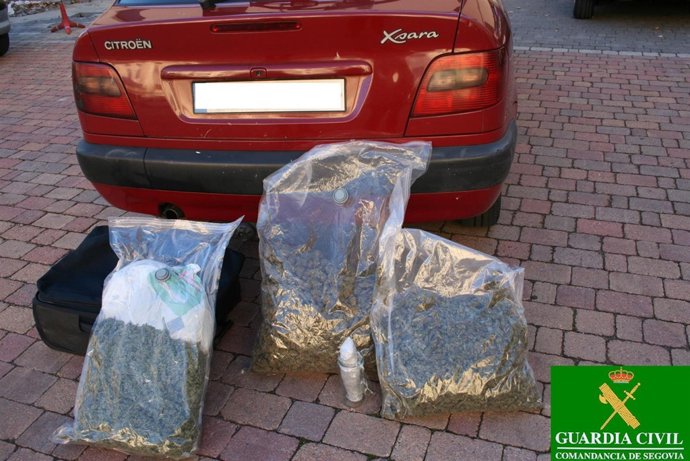 Marihuana intervenida a los tres detenidos