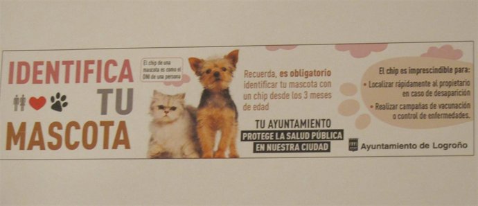 Cartel de la campaña municipal