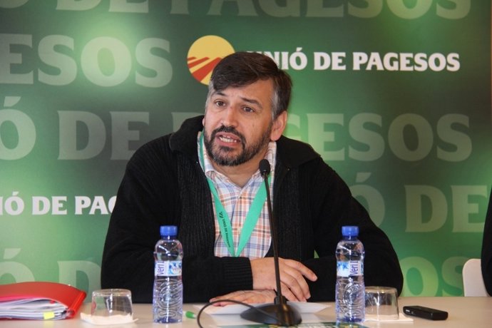 Joan Caball