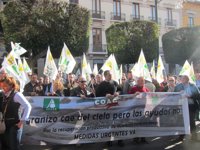 Organizaciones agrarias ven decreto-ley "respuesta" a los afectados por granizo y creen que los "tranquiliza"