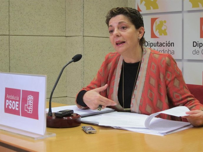 La portavoz adjunta del PSOE en la Diputación, Isabel Niñoles