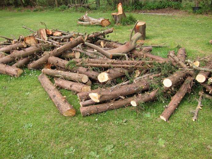 Madera