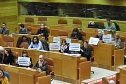 Diputados del BNG muestran carteles contra la privatización de la sanidad