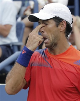 El tenista español Fernando Verdasco 