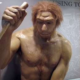 Neandertal