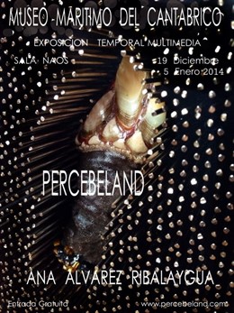 Cartel de 'Percebeland'