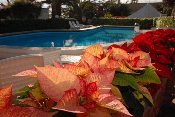 Camping Estanyet de Tarragona en Navidad