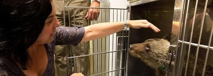 Consejera Agroganadería y osezna Molinera