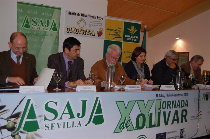 XXI Jornada de Olivar de ASAJA-Sevilla.
