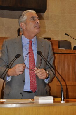 El consejero de Política Territorial del Gobierno de Aragón, Antonio Suárez.
