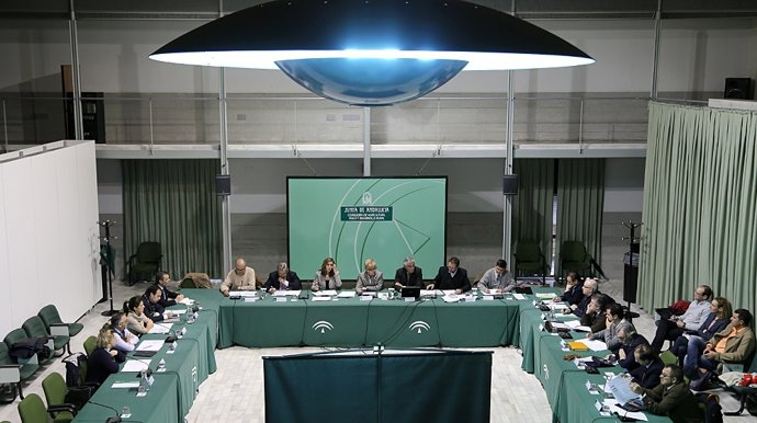 Reunión del Consejo Andaluz del Olivar.