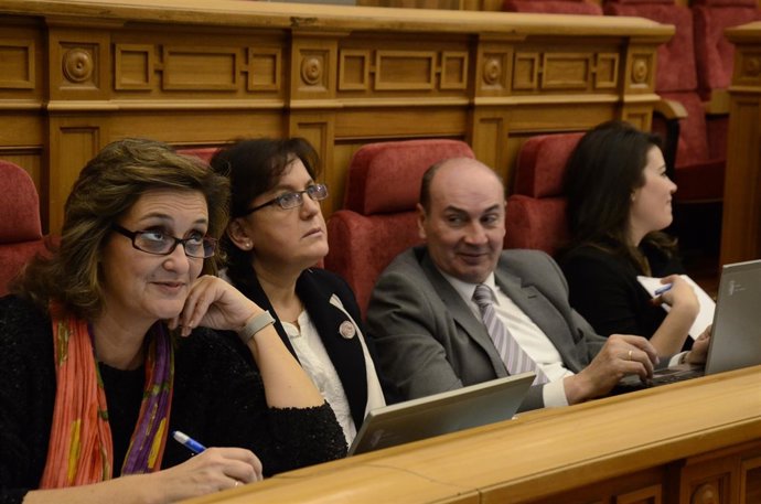María José Ciudad en el pleno de las Cortes