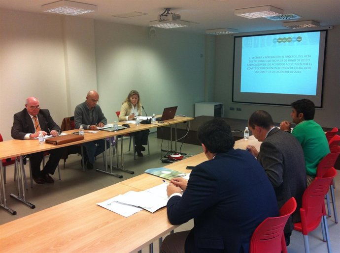 Reunión de Citoliva