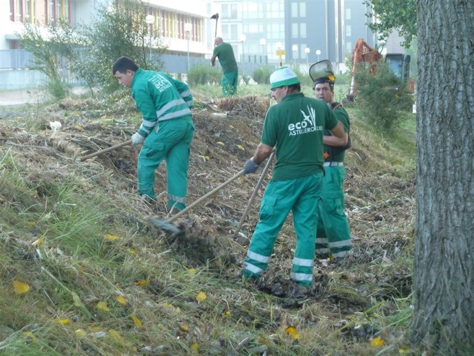 Proyecto medioambiental Ecointegra