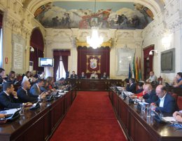 Pleno en el Ayuntamiento de Málaga