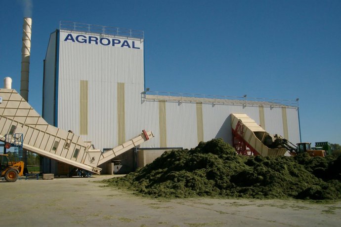 Descarga De Forrajes En Una De Las Fábricas De Agropal