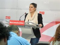 El PSOE extremeño pide una reforma energética en "profundidad"