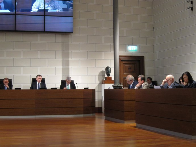 La DPZ ha aprobado este viernes sus presupuestos para 2014