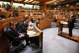 Pleno de la Junta General 20 de diciembre 2013