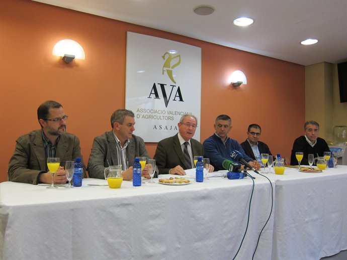 AVA hace balance de 2013