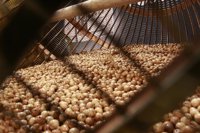 Las ventas del Sorteo de Navidad caen en Navarra un 3,39% hasta los 28,6 millones