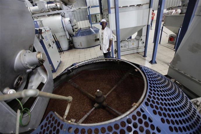 Imagen de archivo de un trabajador junto a un contenedor con granos de café tost