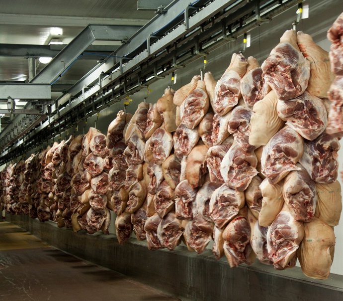 Matadero cárnico catalán