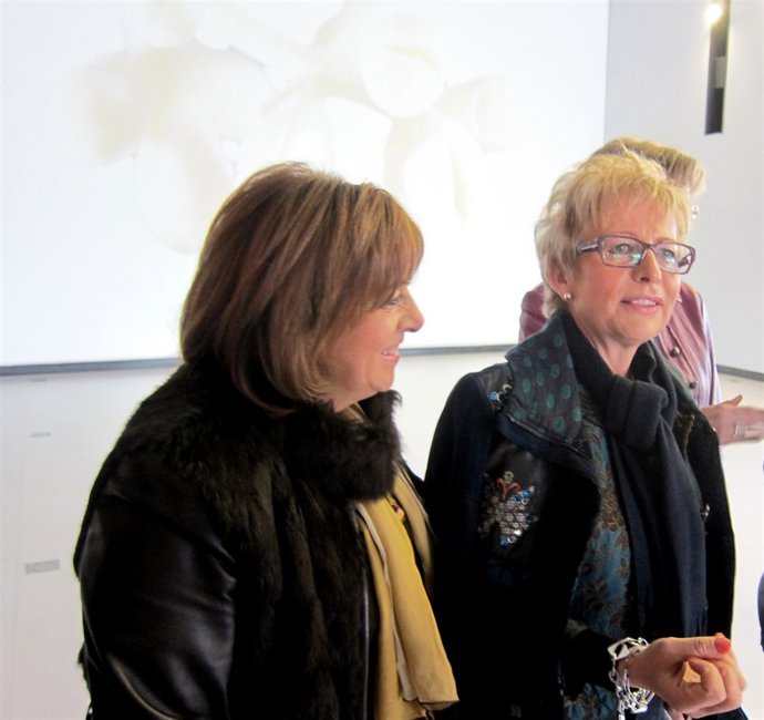Elena Víboras (d), junto a Purificación Gálvez, antes de atender a la prensa.