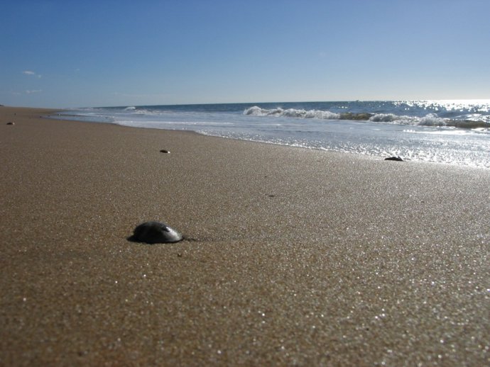 Playa del parador de Ayamonte (Huelva).