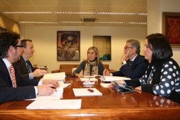 La reunión del Patronato de la Fundación Viana