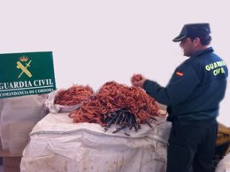 Un guardia civil junto a parte del material robado recuperado